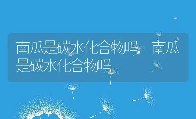 南瓜是碳水化合物吗,南瓜是碳水化合物吗 | 养殖科普