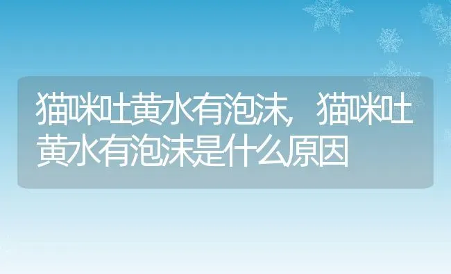 猫咪吐黄水有泡沫,猫咪吐黄水有泡沫是什么原因 | 养殖资料