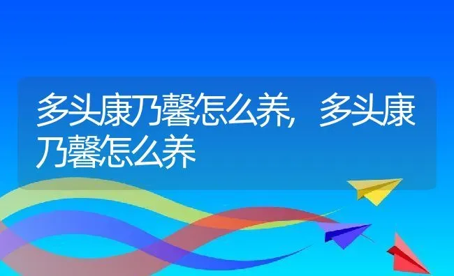 多头康乃馨怎么养,多头康乃馨怎么养 | 养殖科普