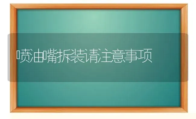 喷油嘴拆装请注意事项 | 养殖知识