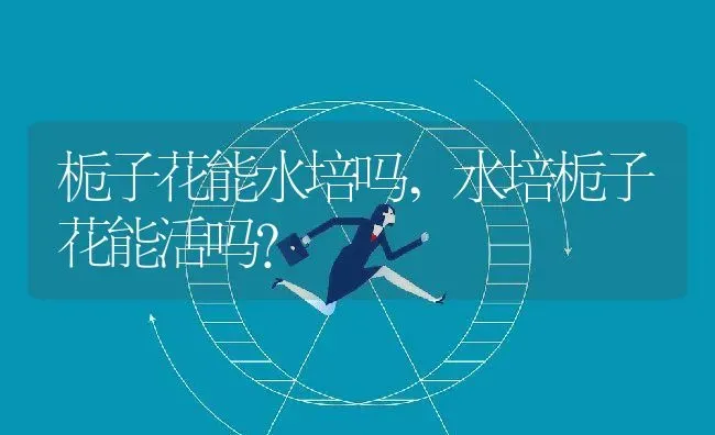 栀子花能水培吗,水培栀子花能活吗？ | 养殖科普