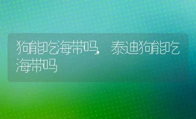 狗能吃海带吗,泰迪狗能吃海带吗 | 养殖科普