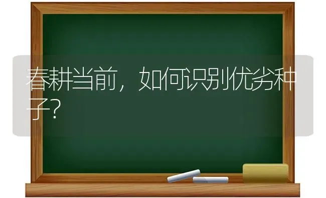 春耕当前,如何识别优劣种子? | 养殖技术大全