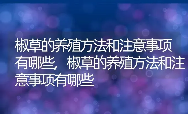 椒草的养殖方法和注意事项有哪些,椒草的养殖方法和注意事项有哪些 | 养殖科普