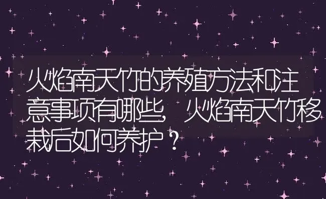 火焰南天竹的养殖方法和注意事项有哪些,火焰南天竹移栽后如何养护？ | 养殖科普
