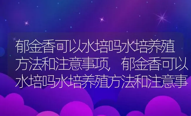 郁金香可以水培吗水培养殖方法和注意事项,郁金香可以水培吗水培养殖方法和注意事项 | 养殖科普