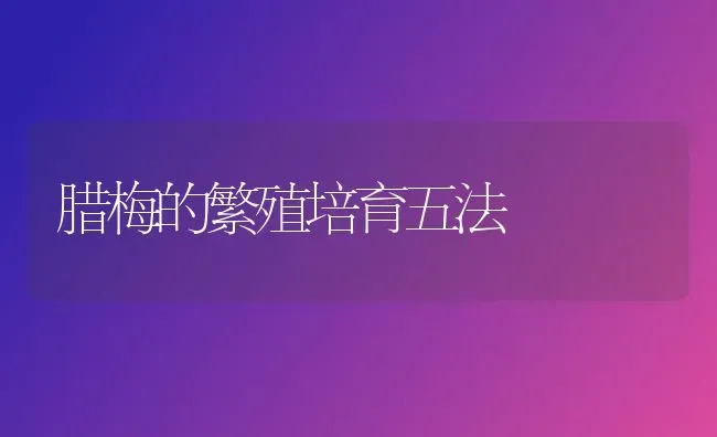 腊梅的繁殖培育五法 | 养殖技术大全