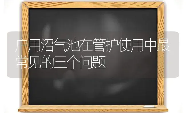 户用沼气池在管护使用中最常见的三个问题 | 养殖技术大全