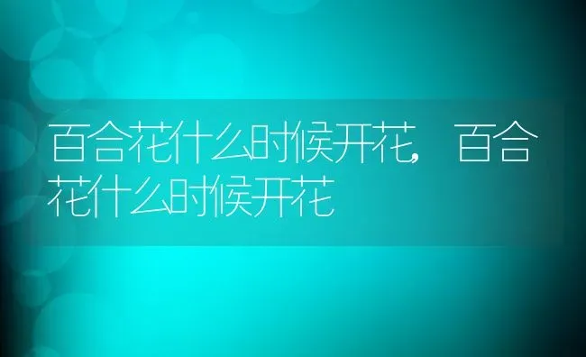 百合花什么时候开花,百合花什么时候开花 | 养殖科普