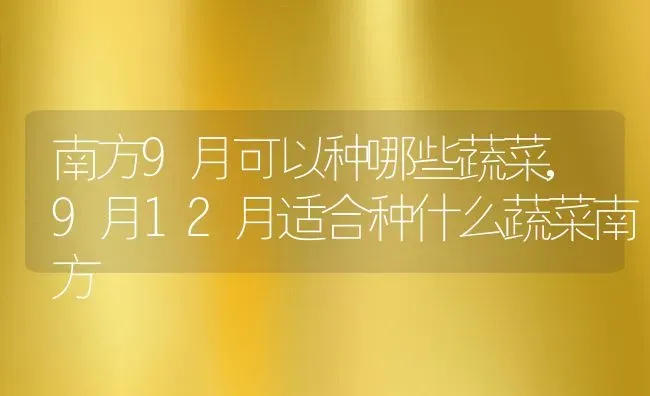 南方9月可以种哪些蔬菜,9月12月适合种什么蔬菜南方 | 养殖学堂