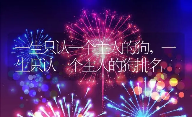 一生只认一个主人的狗,一生只认一个主人的狗排名 | 养殖科普