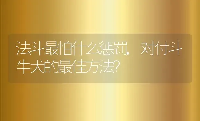 法斗最怕什么惩罚,对付斗牛犬的最佳方法？ | 养殖学堂