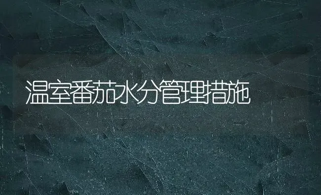温室番茄水分管理措施 | 养殖技术大全