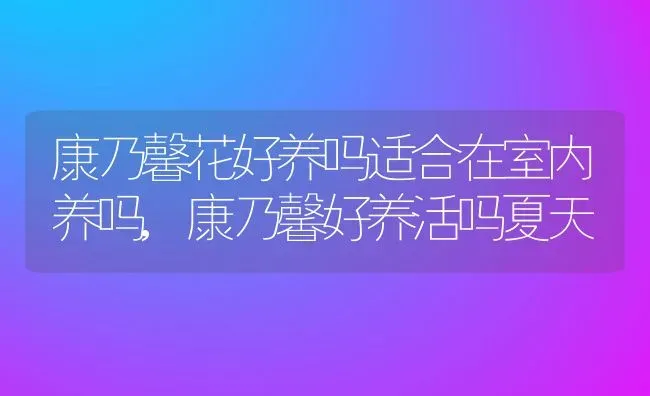 康乃馨花好养吗适合在室内养吗,康乃馨好养活吗夏天 | 养殖学堂