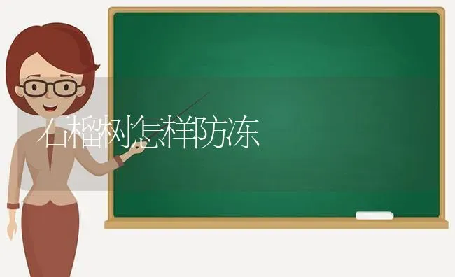 石榴树怎样防冻 | 养殖知识