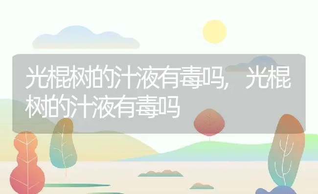 光棍树的汁液有毒吗,光棍树的汁液有毒吗 | 养殖科普