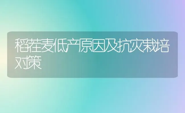 板栗打吊瓶 空苞率为零 | 养殖技术大全