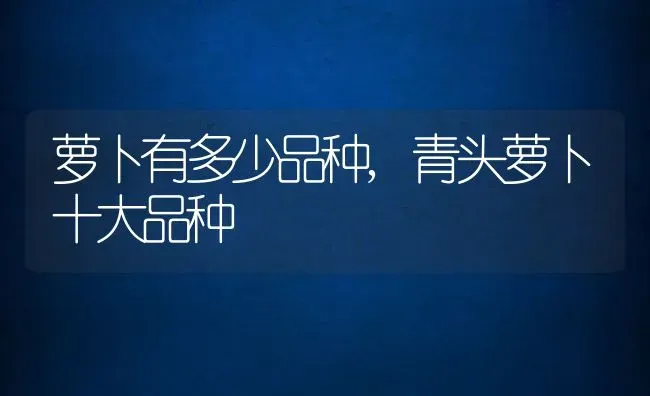 萝卜有多少品种,青头萝卜十大品种 | 养殖学堂