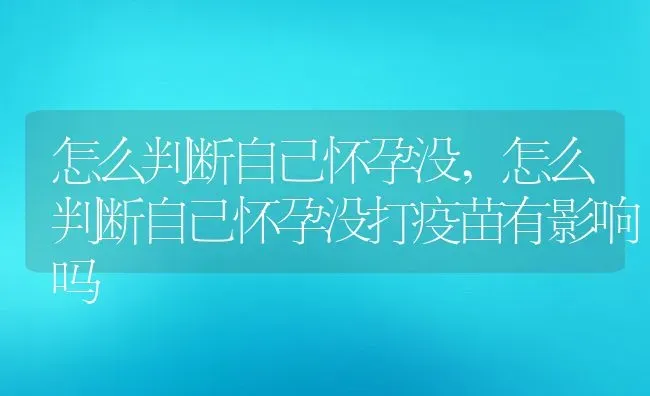 怎么判断自己怀孕没,怎么判断自己怀孕没打疫苗有影响吗 | 养殖资料