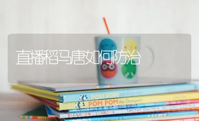 直播稻马唐如何防治 | 养殖知识
