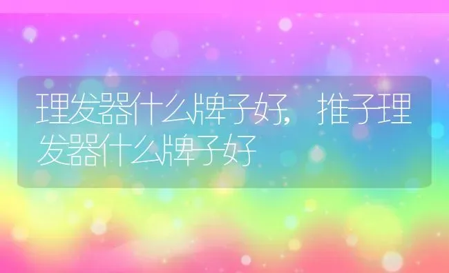 理发器什么牌子好,推子理发器什么牌子好 | 养殖科普