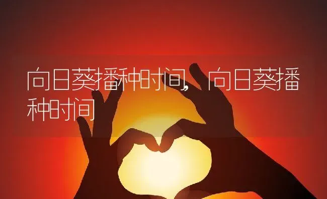 向日葵播种时间,向日葵播种时间 | 养殖科普
