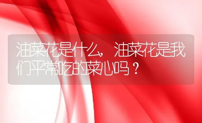 油菜花是什么,油菜花是我们平常吃的菜心吗？ | 养殖科普