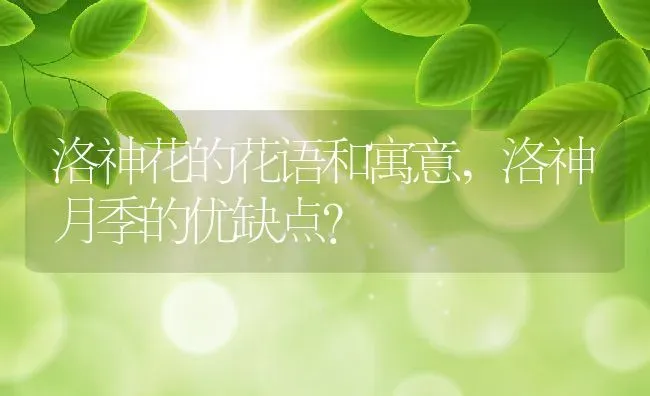 洛神花的花语和寓意,洛神月季的优缺点？ | 养殖科普