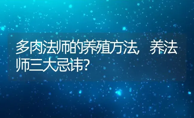 多肉法师的养殖方法,养法师三大忌讳？ | 养殖科普