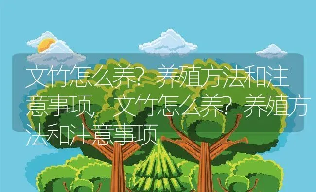 月季花怎么修剪方法,如何修剪月季花的生长？ | 养殖科普