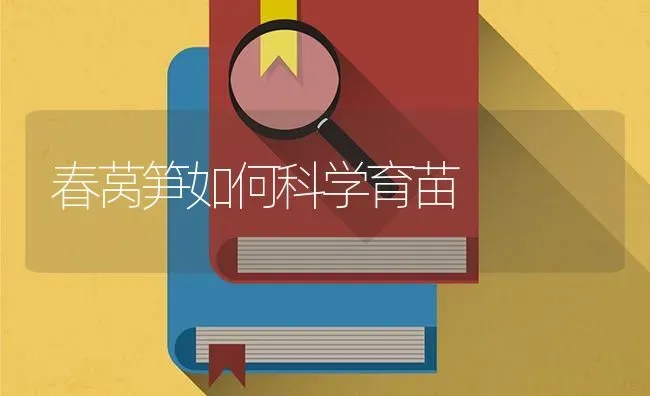 春莴笋如何科学育苗 | 养殖技术大全