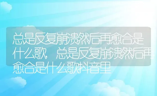 总是反复崩溃然后再愈合是什么歌,总是反复崩溃然后再愈合是什么歌抖音里 | 养殖科普