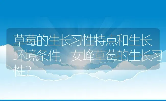 草莓的生长习性特点和生长环境条件,女峰草莓的生长习性？ | 养殖科普