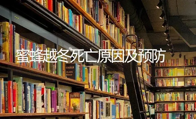 蜜蜂越冬死亡原因及预防 | 养殖知识