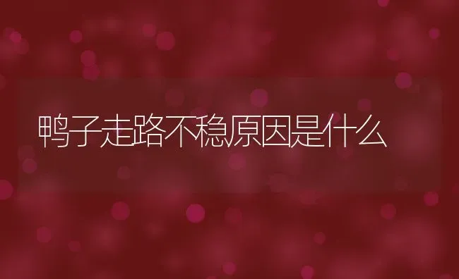 塞罕坝机械林场干枝梅驯化栽培技术,干枝梅扦插方法 | 养殖学堂