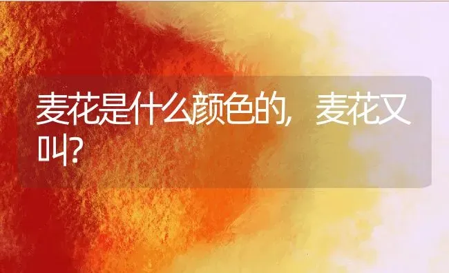 麦花是什么颜色的,麦花又叫？ | 养殖科普