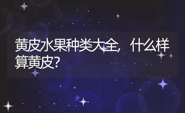 黄皮水果种类大全,什么样算黄皮？ | 养殖科普