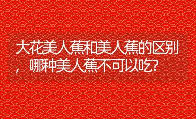 大花美人蕉和美人蕉的区别,哪种美人蕉不可以吃？ | 养殖科普