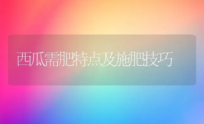 豆角盛花期如何管 | 养殖技术大全