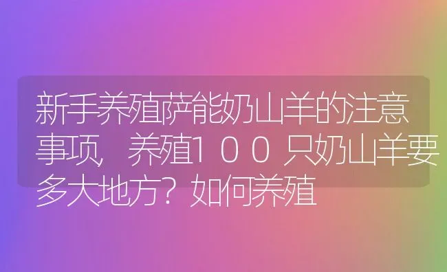 新手养殖萨能奶山羊的注意事项,养殖100只奶山羊要多大地方？如何养殖 | 养殖学堂