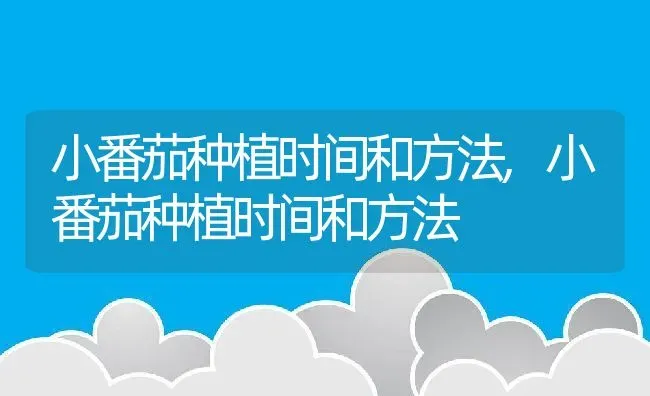 鱼缸尺寸规格,金龙鱼缸尺寸规格 | 养殖科普