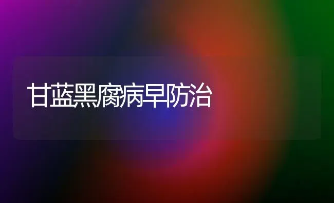 甘蓝黑腐病早防治 | 养殖技术大全