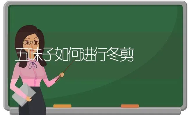 五味子如何进行冬剪 | 养殖技术大全