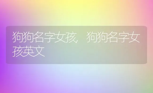 狗狗名字女孩,狗狗名字女孩英文 | 养殖科普