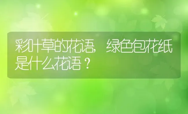 彩叶草的花语,绿色包花纸是什么花语？ | 养殖科普