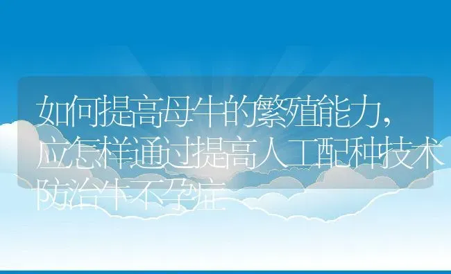 如何提高母牛的繁殖能力,应怎样通过提高人工配种技术防治牛不孕症 | 养殖学堂