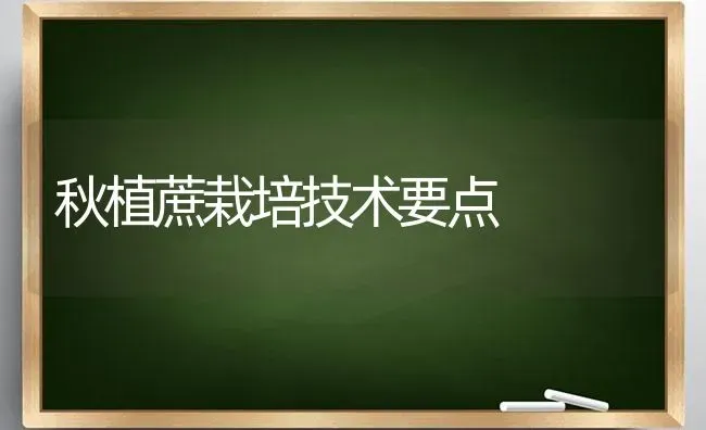 秋植蔗栽培技术要点 | 养殖知识