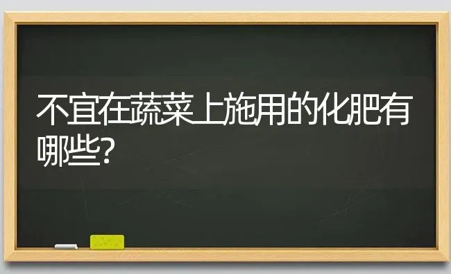 怎样控制辣椒高脚苗 | 养殖技术大全