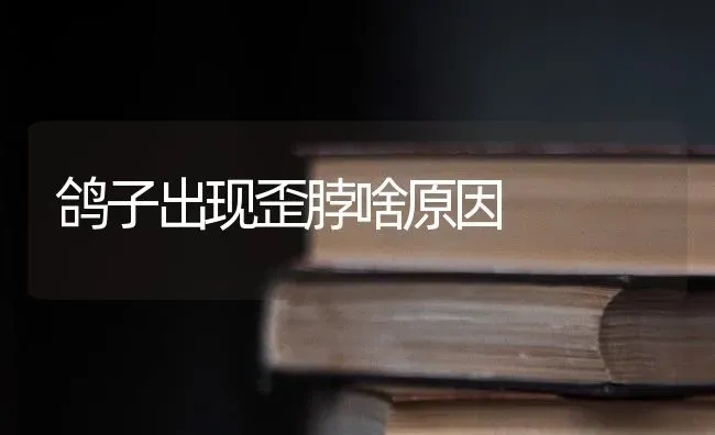 鸽子出现歪脖啥原因 | 养殖技术大全