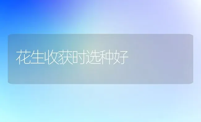 花生收获时选种好 | 养殖技术大全